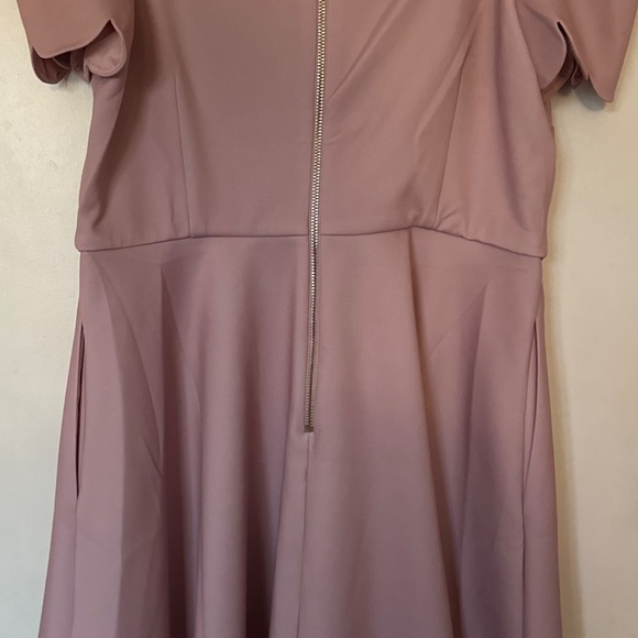 NWT Ted Baker Dress Raspbery Bardot Skater  size:5,  light pink,  painted flower - Picture 8 of 11